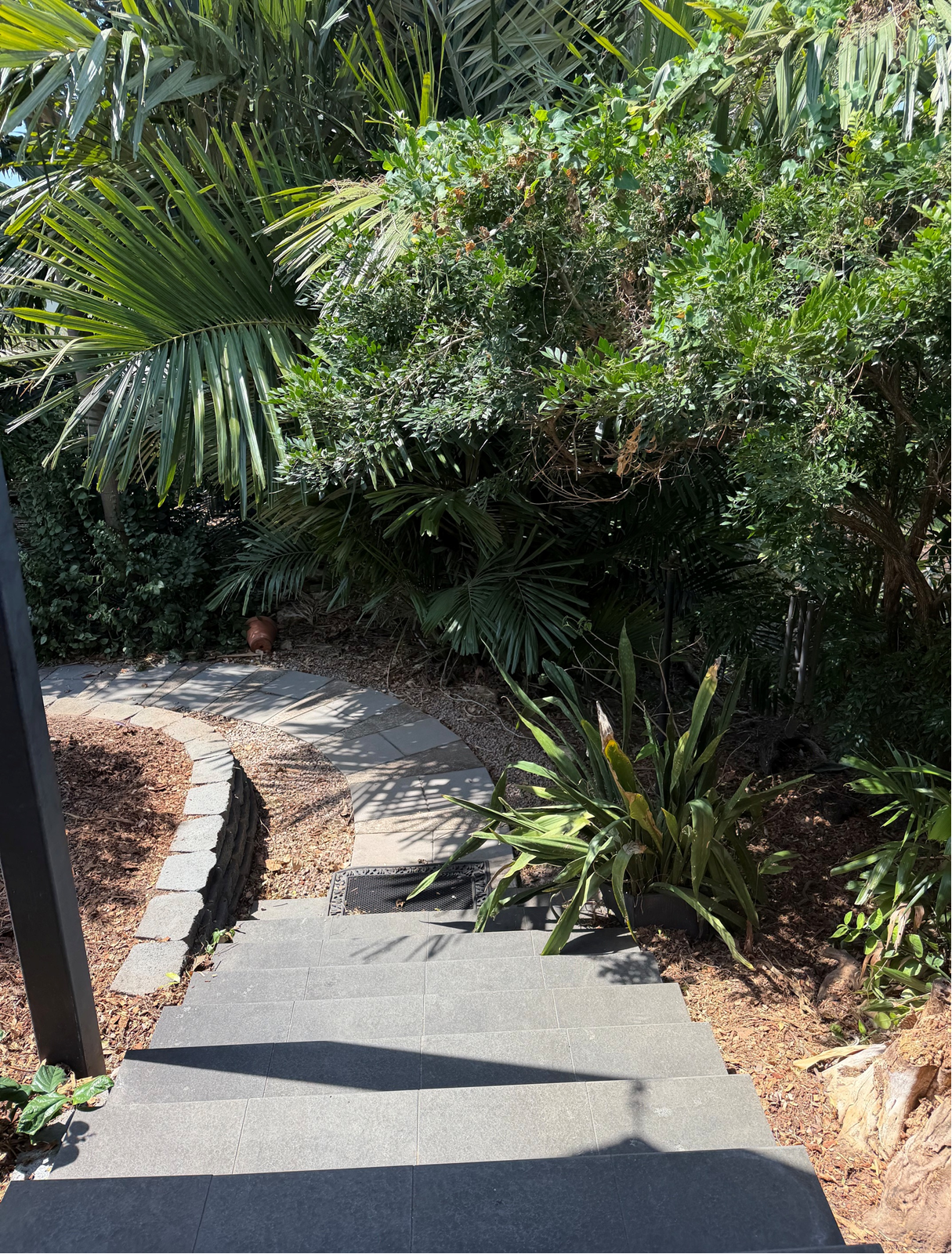 Garden pathway with tropical plants at Oasis in Stuart Park